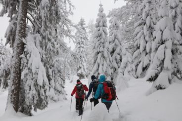 28 déc poudreuse en raquettes 