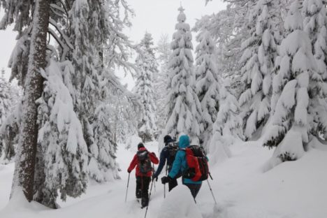 28 déc poudreuse en raquettes