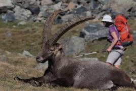 LE GRAND PARADIS 12 août au 16 août 2019
