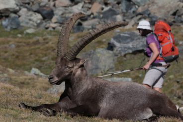 LE GRAND PARADIS 12 août au 16 août 2019