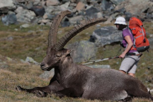LE GRAND PARADIS 12 août au 16 août 2019