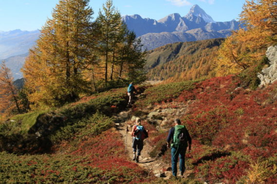 Couleurs de l'automne dans les mélèzes 16 & 17 oct 2021