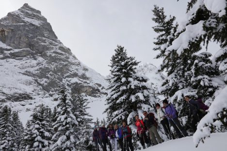 27 février belle randonnée au plateau de Barme, belle neige