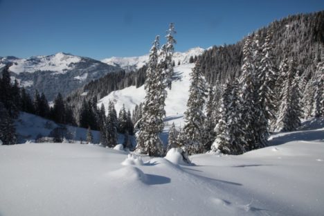 6 déc en-dessus de Saanenmöser, Wannehörli