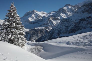 19 & 20 janvier Week-end en raquettes, pleine lune