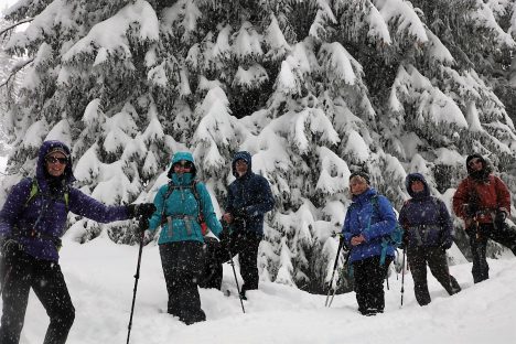 15 janvier Les Avants dans la pourdreuse