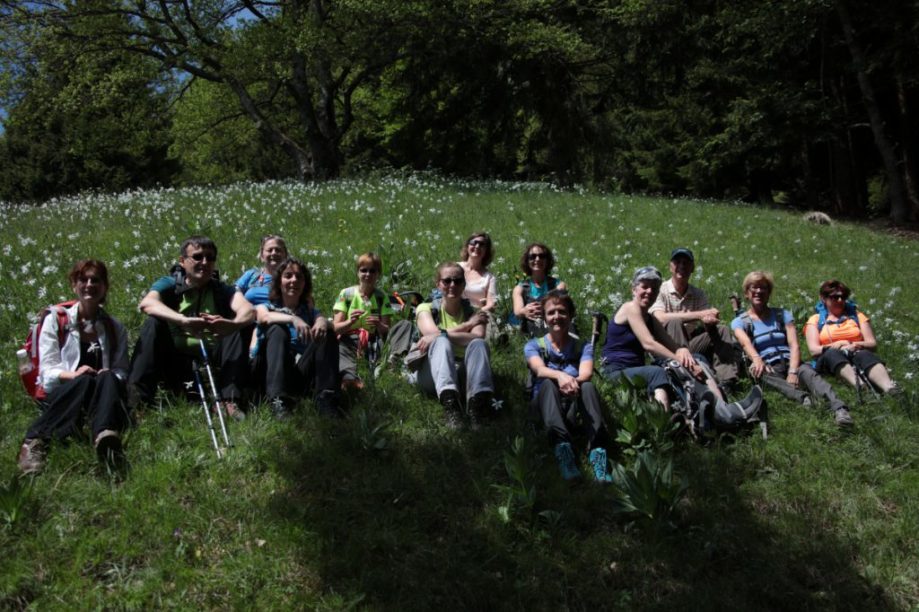 21 mai les Narcisses
