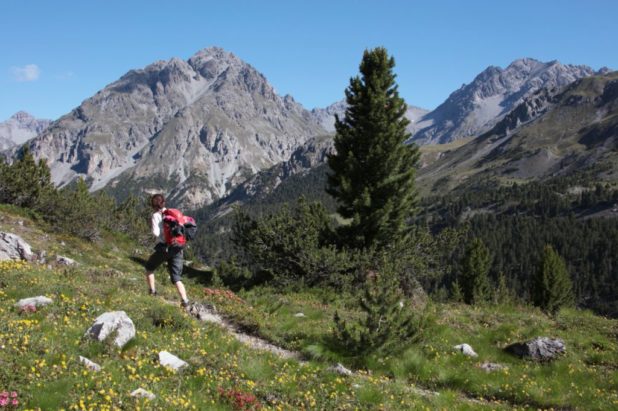Parc National Suisse, Engadine 10 août au 15 août 2020