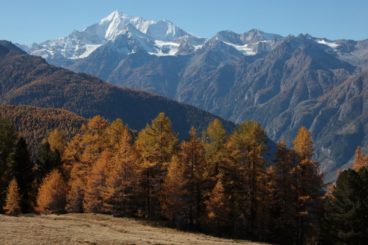 19 & 20 oct 2019 week-end dans les mélèzes