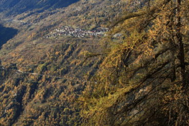 11 nov val d'hérens