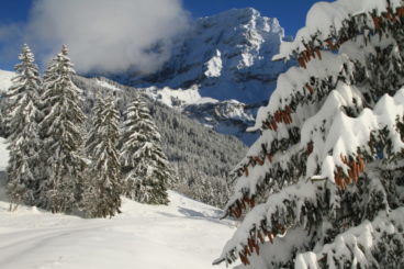 26 janvier selon les chutes de neige