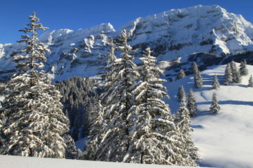 21 déc poudreuse!!! 