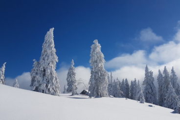 Week-end hivernal 8 & 9 février 2020 avec la lune