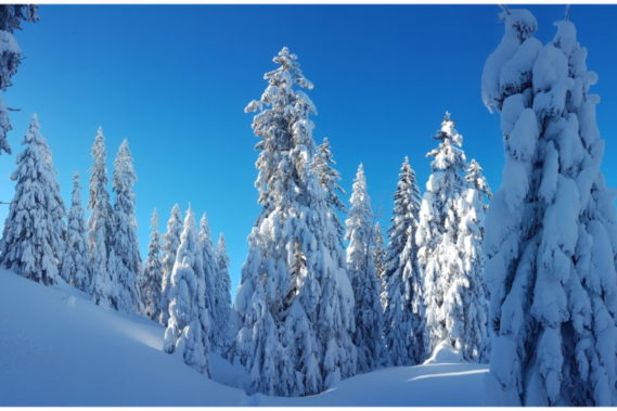 Week-end hivernal 2020