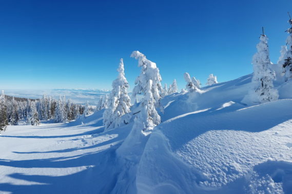 Week-end raquettes Mt Tendre 9 & 10 janvier 2021