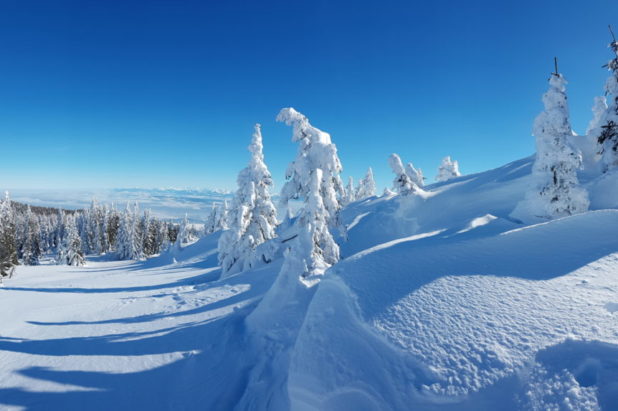 1 déc raquettes selon le niveau de neige...