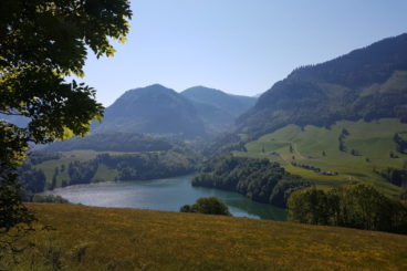 25 mai Le Mont Bifé, Montsalvens, gorges de la jogne **