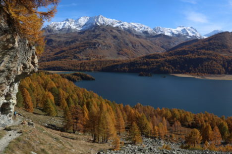 12 au 16 oct La Haute Engadine dans les Mélèzes et lacs