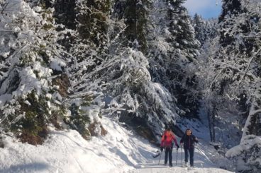 30 nov 1er en raquettes la Comballaz à Leysin