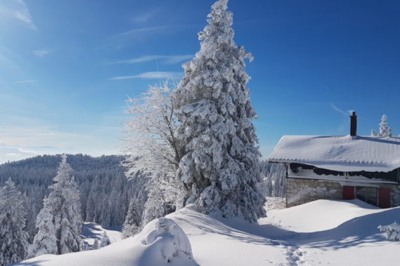 Week-end hivernal hiver 2025 - 2026