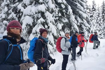 1 déc col de Bretaye en sauvage