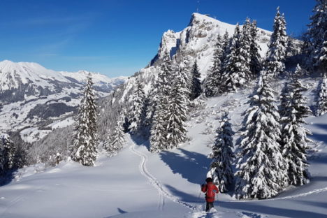 19 déc en raquettes selon les chutes de neige