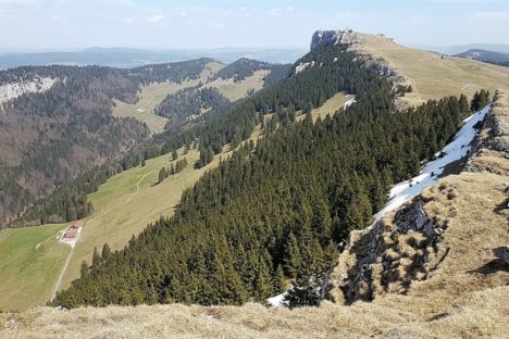 30 mai Autour et sommet du Chasseron