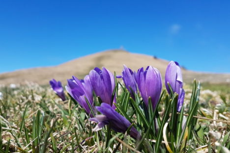 21 mars sortie du printemps