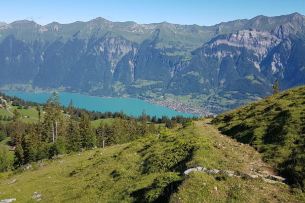 Randonnées panoramiques des lacs de Brienz, Thoune, 4 cantons du 20 au 25 juin 2021