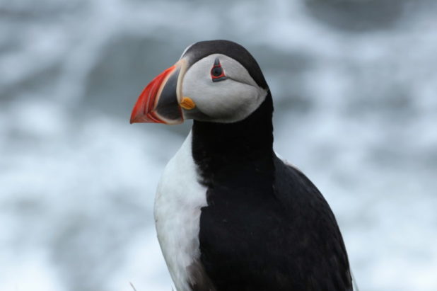 L'aventure Islandaise 16 au 31 juillet 2022