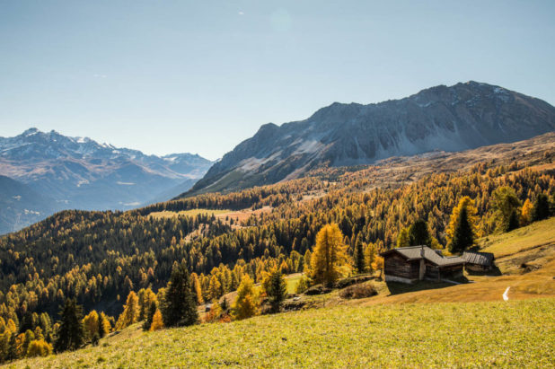 Parc Ela dans les Grisons pour sept ou oct 2021