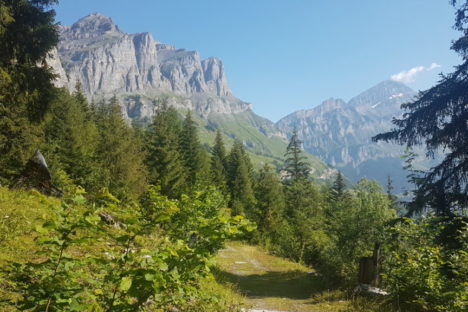 25 juillet Le chemin du soleil
