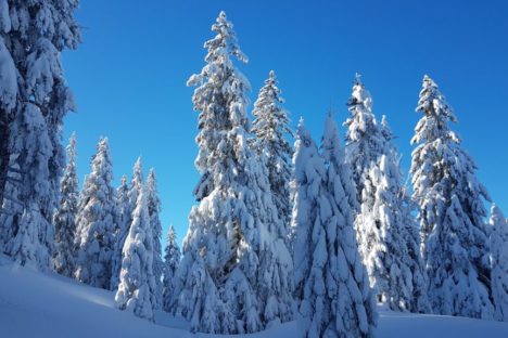31 déc selon les chutes de neige