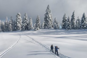 Voyagesrandonnees.ch