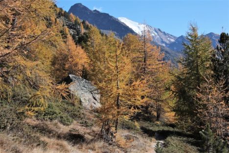 20 nov la dernière sortie de la saison avant la neige