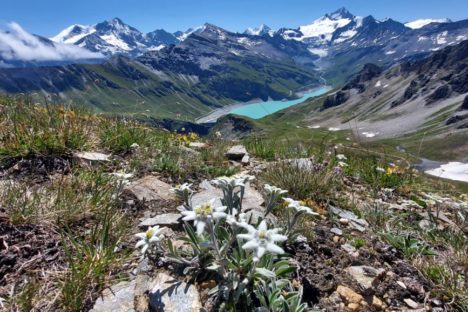 12 sept de Moiry au Pas de Lona et Eison