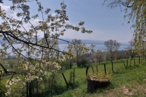 12 avril randonnée printanière 