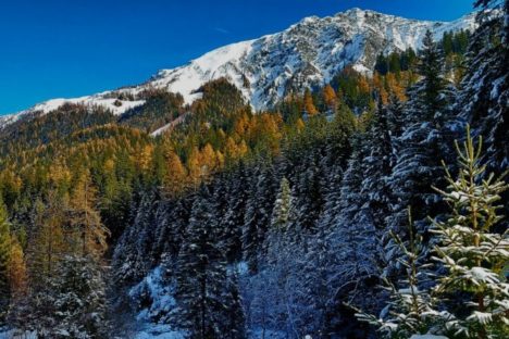 26 nov Val Ferret entre deux saisons