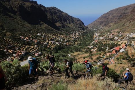 THE BEST OF GOMERA & TÉNÉRIFE AVRIL 2025