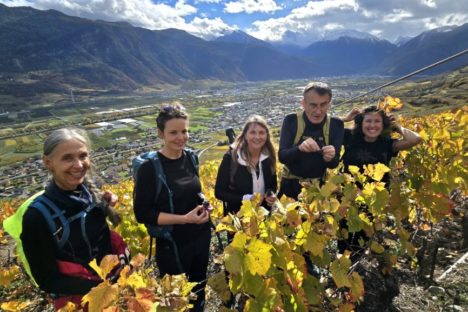 26 oct soleil, vignes et Feuillus de Fully