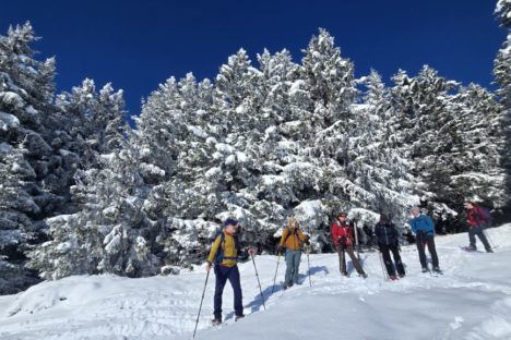 22 nov 1ère spectaculaire en raquettes sur Morgins