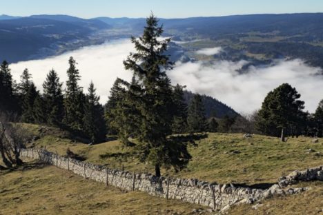 14 décembre boucle Dent de Vaulion