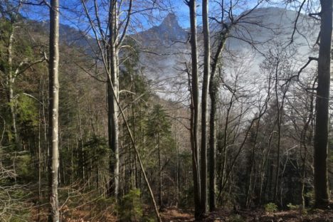 21 déc Territet à Sonloup 