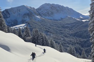 15 février raquettes 