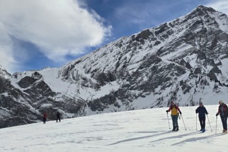 24 janvier en raquettes Walliser Wispile