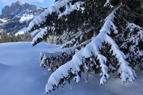 1 mars dernière de la saison hivernale